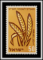 Wheat