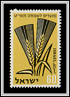 Barley