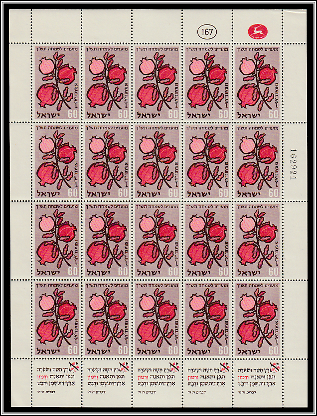 Pomegranates (Punica granatum)
