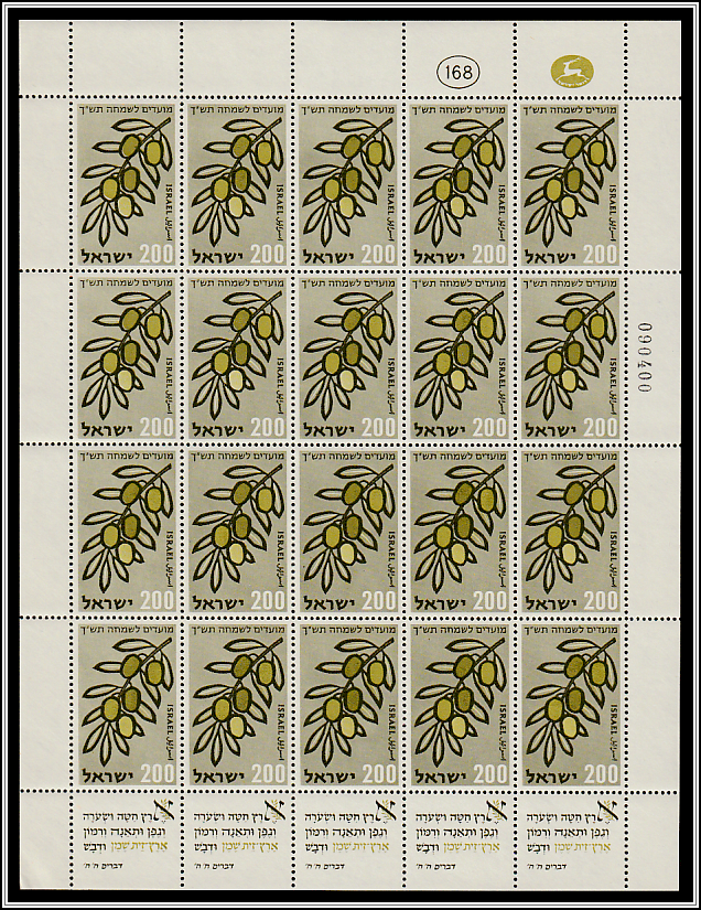 Olives (Olea europaea)