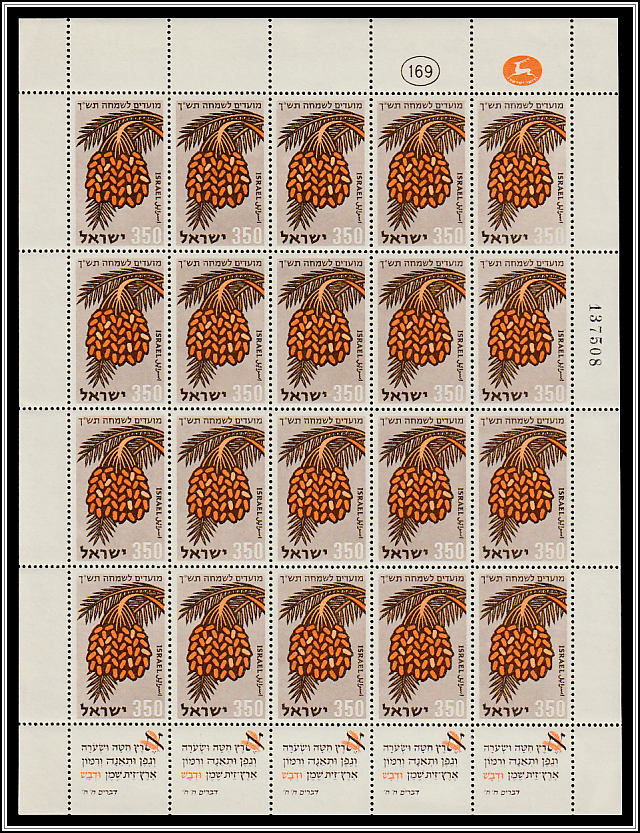 Dates (Phoenix dactylifera)