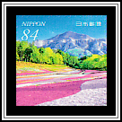 Moss Phlox at Hitsujiyama Park