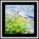 Naka River and Rape Blossoms
