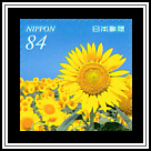 Yanagawa City Sunflower Garden