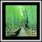 Saga-arashi Mountain Bamboo Forest Path