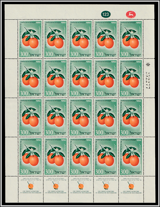 Jaffa Oranges