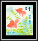 Ryūkin (Carassius auratus)