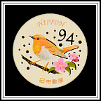 Japanese Robin (Larvivora akahige)