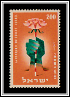 Desert Rose