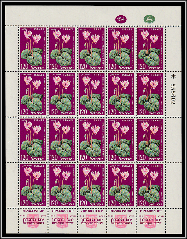 Persian Cyclamen (Cyclamen latifolium)