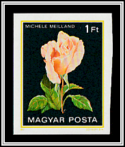Michèle Meilland