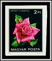 Wendy Cussons
