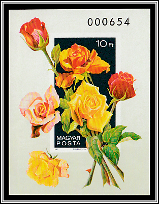 Bouquet of Roses