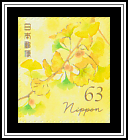Ginkgo (Ginkgo biloba)