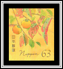Japanese Persimmon (Diospyros kaki)