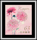 Dahlia (Dahlia pinnata)