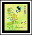 Chrysanthemum (Chrysanthemum morifolium)