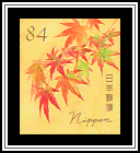 Japanese Maple (Acer palmatum)