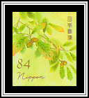 Konara Acorn (Quercus serrata)