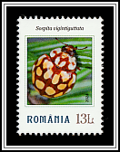Sospita vigintiguttata