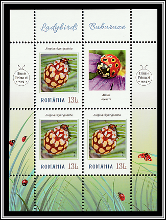 Sospita vigintiguttata