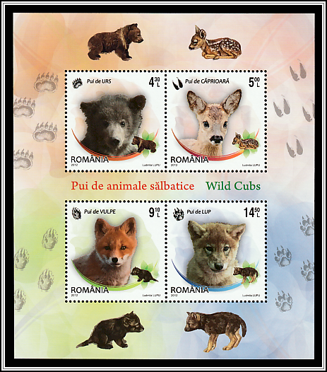 Wild Cubs