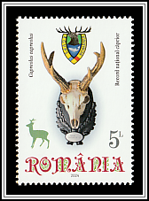 Deer Trophy