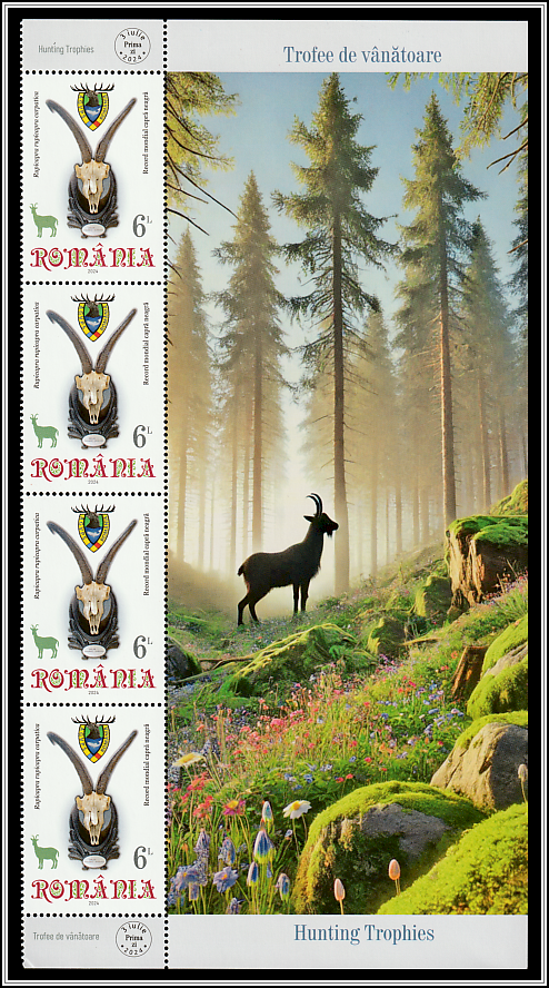 Chamois