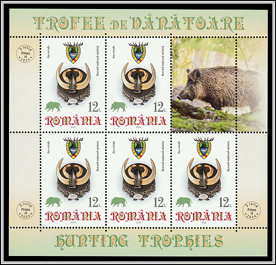 Boar Trophy