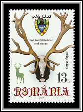 Carpathian Deer Trophy
