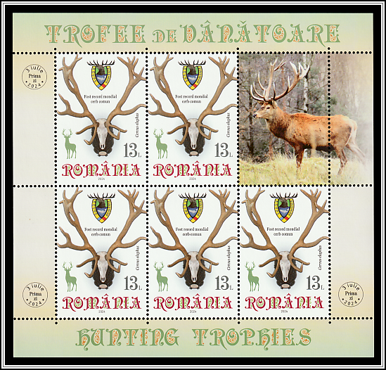 Carpathian Deer Trophy