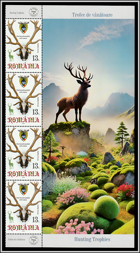 Carpathian Deer Trophy