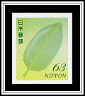 Taro Leaf