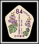 Princess Tree (Paulownia tomentosa)