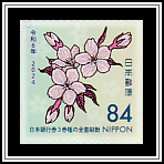 Mountain Cherry Blossoms (Cerasus jamasakura)