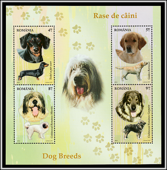 Dog Breeds