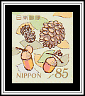 Acorns and Pine Cones