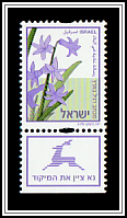 Hyacinth