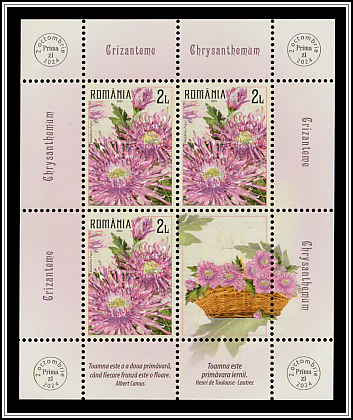 Crysanthemums
