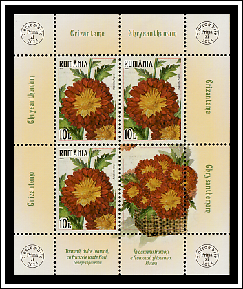 Crysanthemums