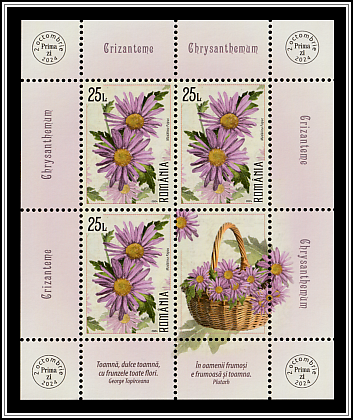 Crysanthemums