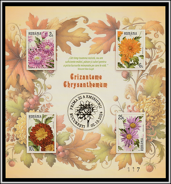 Crysanthemums