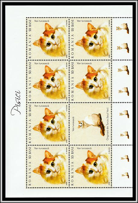 Turkish Van (MS Type II)