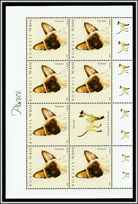 Siamese (MS Type II)