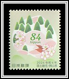 Pine Forest and Wild Cherry Blossoms