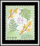Japanese Cypress and Witch Hazel
