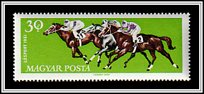 Horse Racing