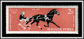 Racehorse Baka