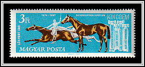 Racehorse Kincsem, Prize Ribbons