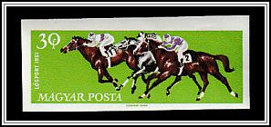 Horse Racing